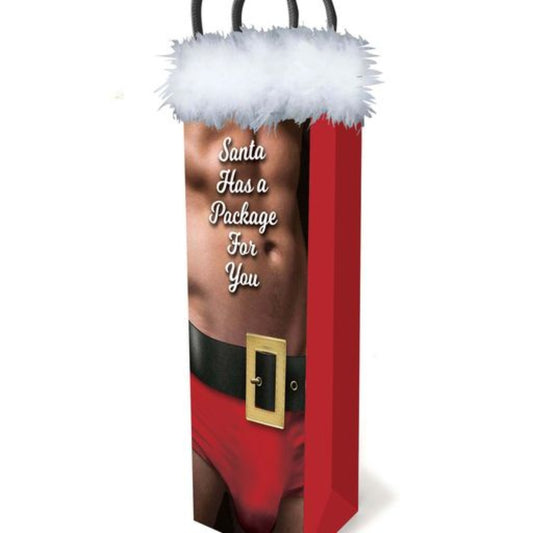 Little Genie Santa Has A Big Package For You Gift Bag