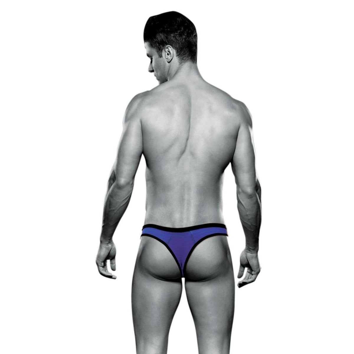 ENVY BAD BOY THONG - PURPLE - L/XL