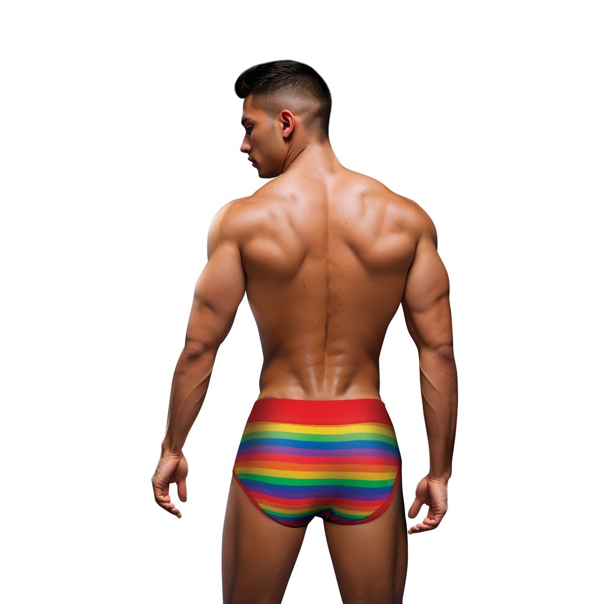 Envy Rainbow Pride Brief Red ML