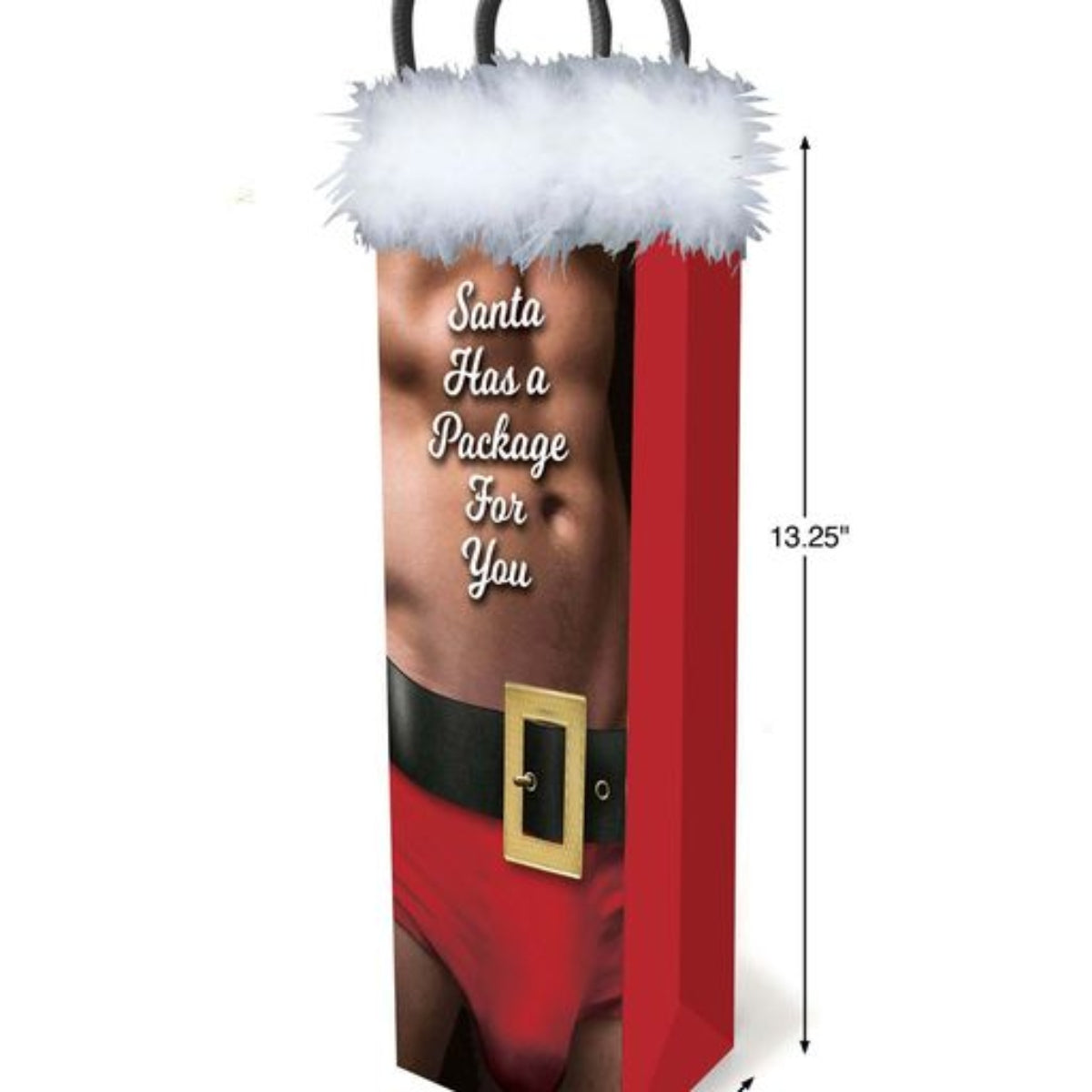 Little Genie Santa Has A Big Package For You  Gift Bag